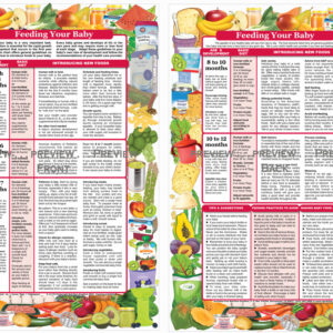 Feeding Your Baby - English