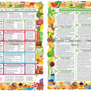 Feeding Your Toddler/Preschooler - English