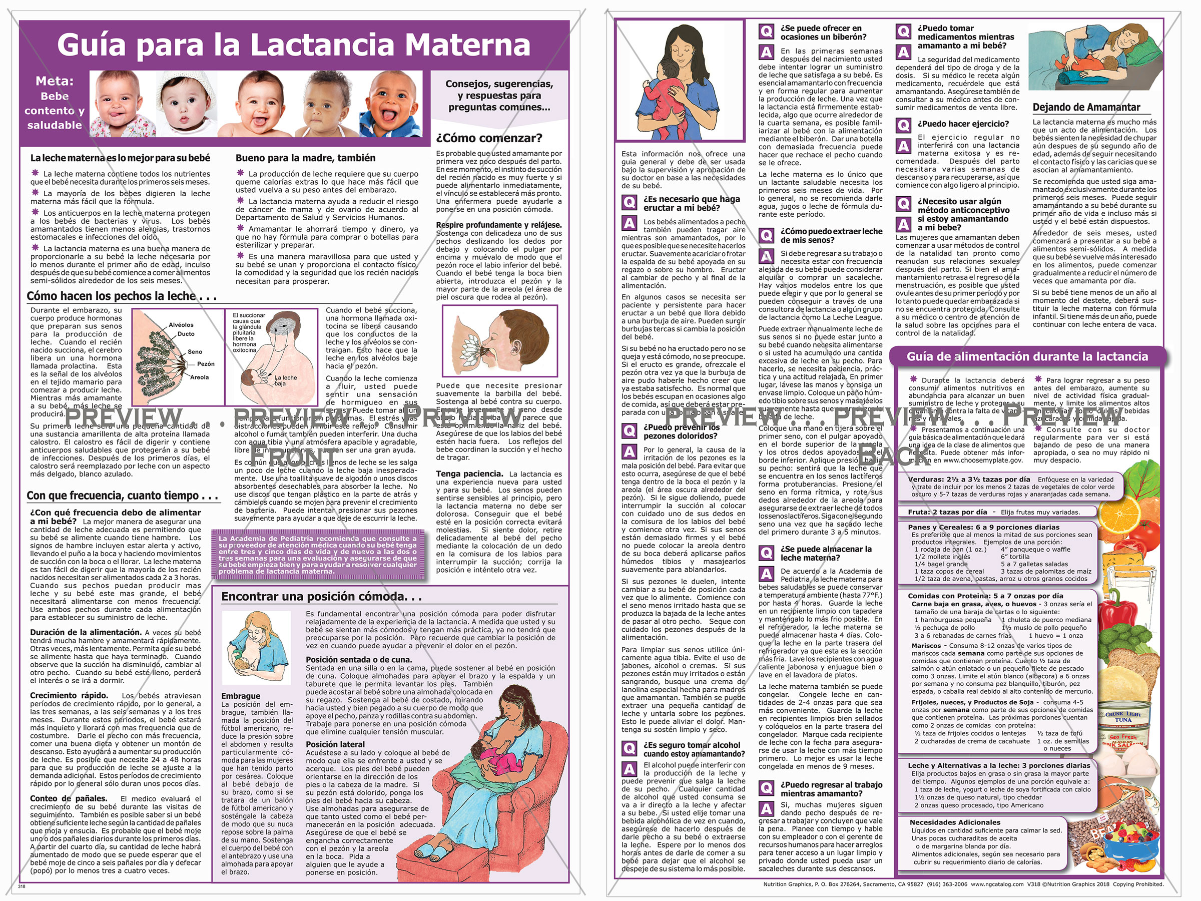 SPANISH GUIDE TO BREASTFEEDING